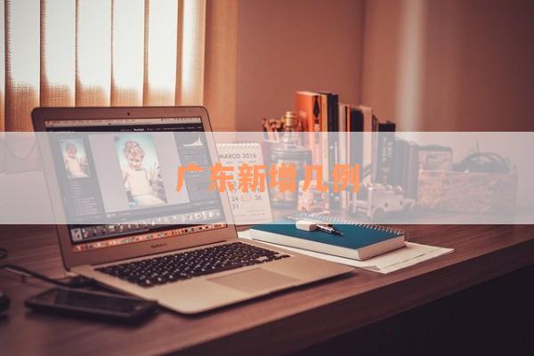 广东新增几例