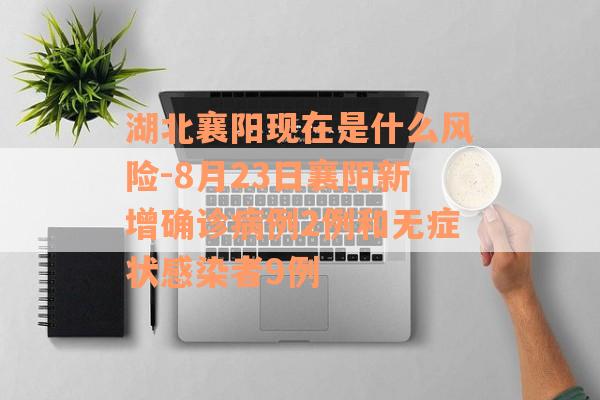湖北襄阳现在是什么风险-8月23日襄阳新增确诊病例2例和无症状感染者9例