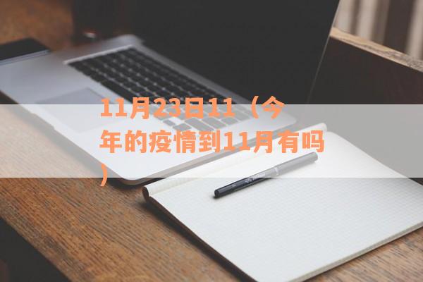 11月23日11（今年的疫情到11月有吗）