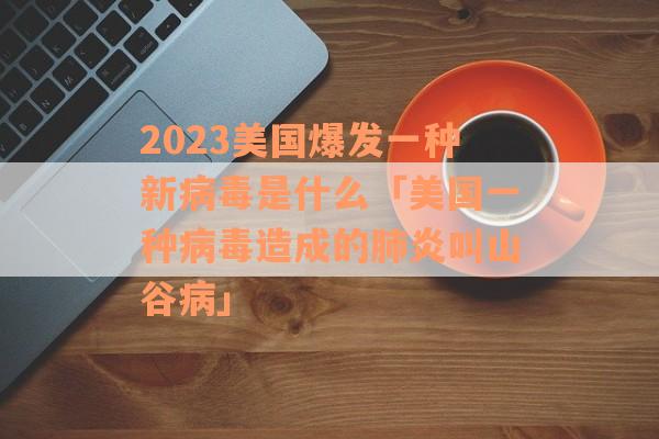 2023美国爆发一种新病毒是什么「美国一种病毒造成的肺炎叫山谷病」