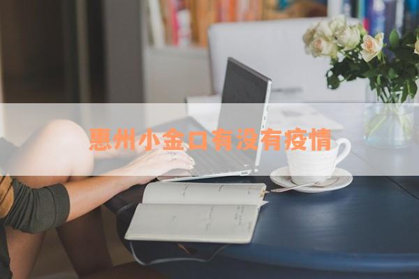 惠州小金口有没有疫情