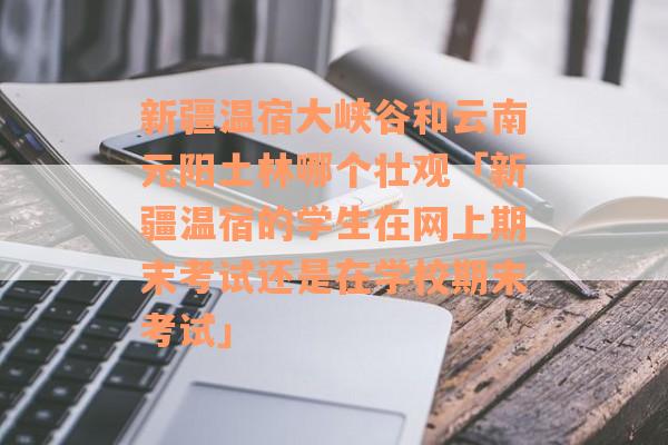 新疆温宿大峡谷和云南元阳土林哪个壮观「新疆温宿的学生在网上期末考试还是在学校期末考试」