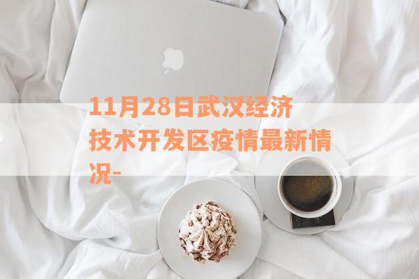 11月28日武汉经济技术开发区疫情最新情况-