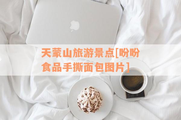 天蒙山旅游景点[盼盼食品手撕面包图片]