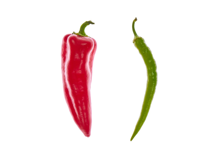 秒懂经验:网上在网站提现通道维护升级