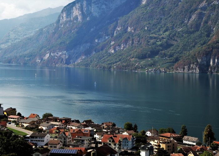 河南确诊为何仍增加,河南确诊为何仍增加病例 🌈