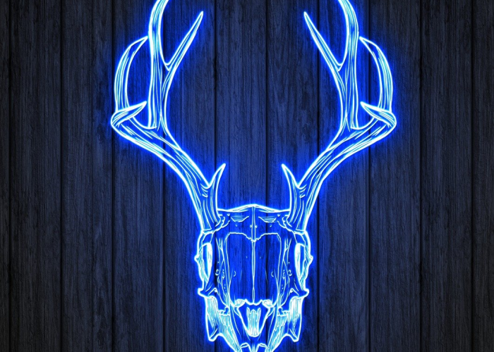 2026-02-15（氯化氢二氧六环商品报价动态）