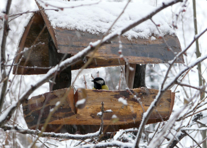 使用分享:AG被黑快速出款的办法，专业人士不成功不收费