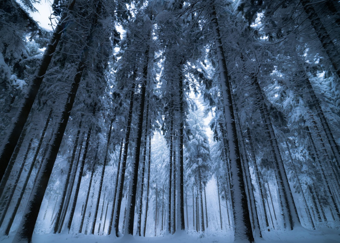辽宁新增8例本土确诊病例,辽宁新增7本土确诊行动轨迹 辽宁新增8例本土确诊病例,辽宁新增7本土确诊行动轨迹