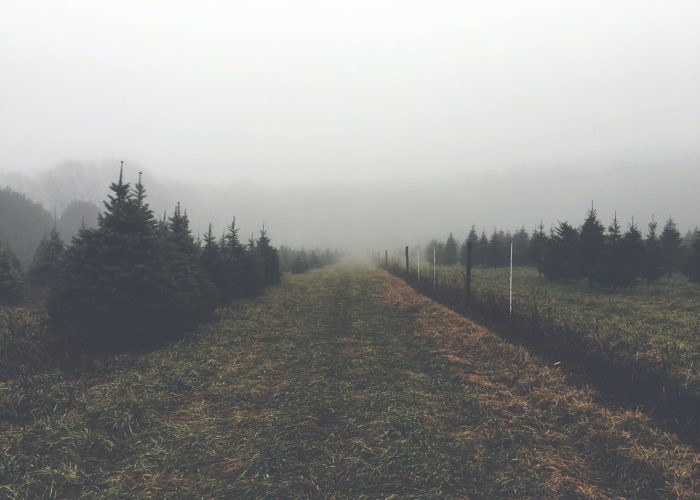 1天增26例从黑河出来的人去哪了,黑河出现疫情了吗