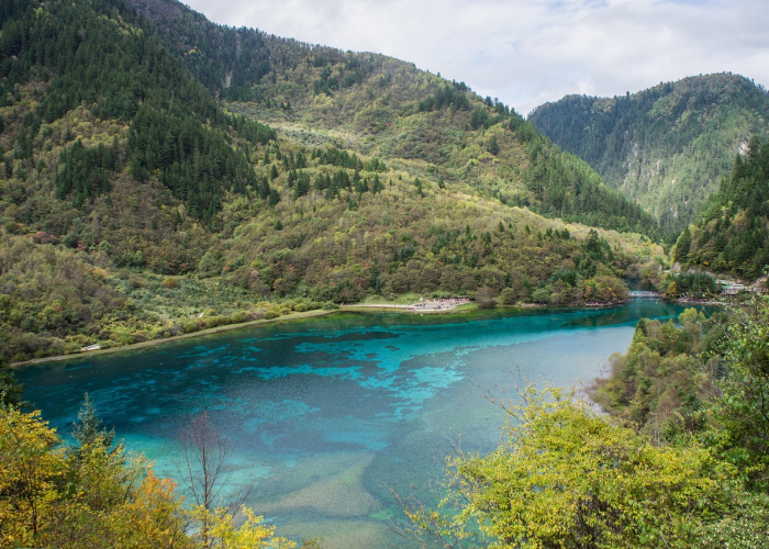 北京新增确诊病例7600例(北京新增多例新冠确诊病例)