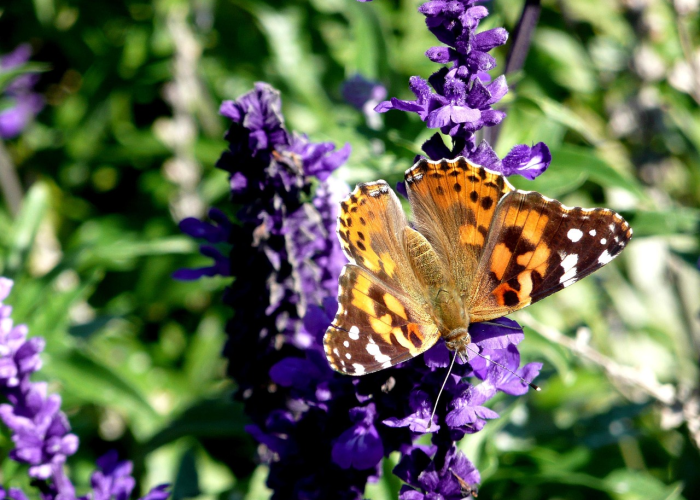 呼和浩特疫情源头呼和浩特市疫情源头 呼和浩特疫情源头呼和浩特市疫情源头