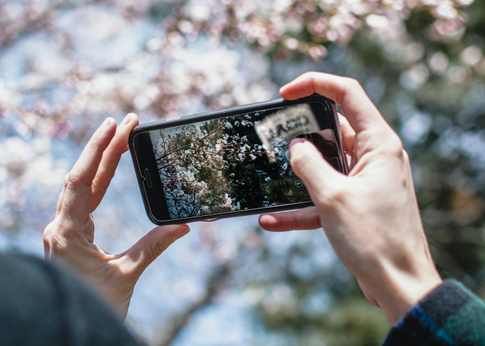 31省区市新增本土确诊11例在广东,31省份新增确诊16例 本土8例在广东 31省区市新增本土确诊11例在广东,31省份新增确诊16例 本土8例在广东