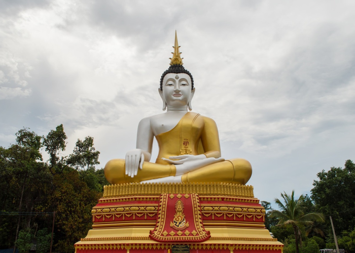 ☑️ 最新的疫情情况最新消息·最新疫情最新公布消息