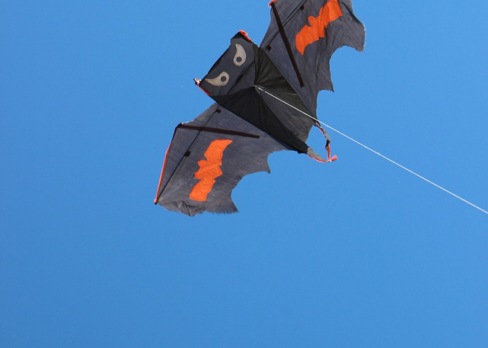 扬州毛老太最终处理结果扬州毛老太被判多少年