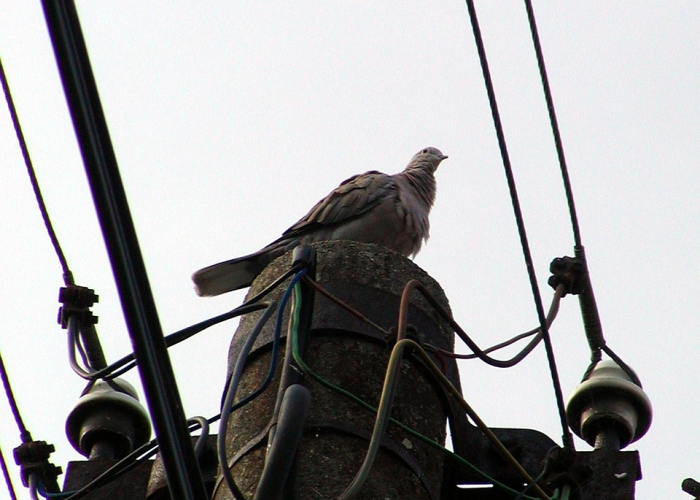 31省份新增确诊18例,31省份新增确诊18例 本土4例在辽宁