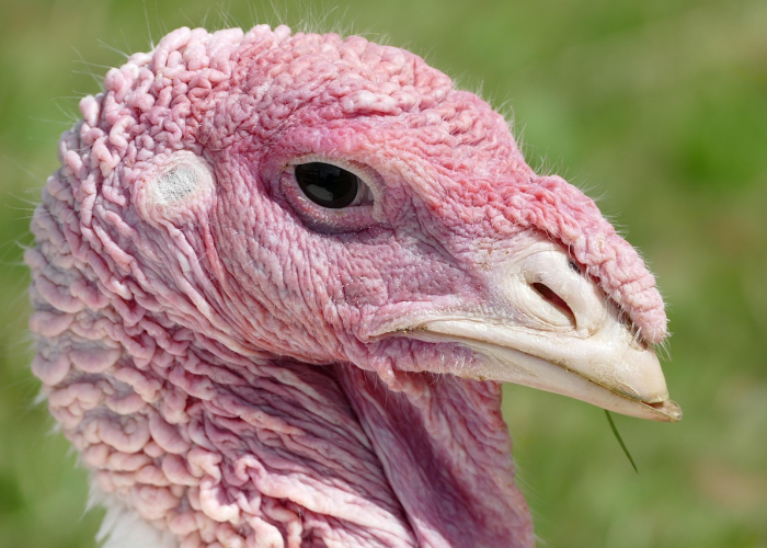 苏州最新疫情·苏州 最新疫情