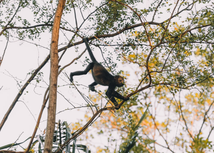 ↕️ 上海疫情最新情况最新消息今天,上海疫情最新通报今天情况