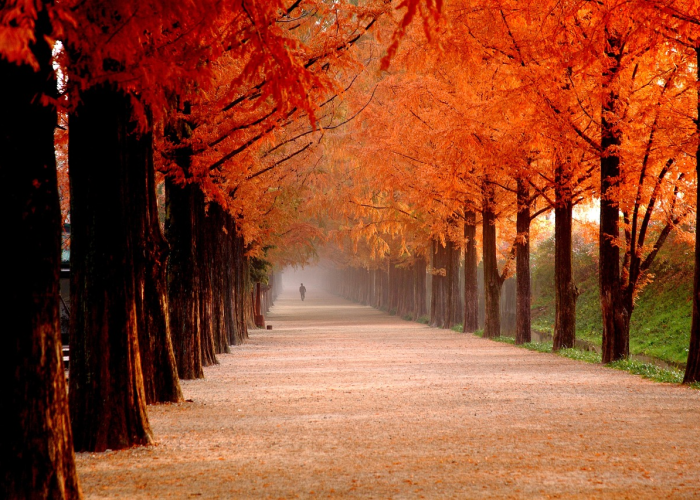 新cts新CTS自动泊车体验