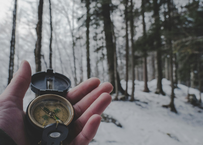 返乡政策最新返乡政策最新查询 返乡政策最新返乡政策最新查询