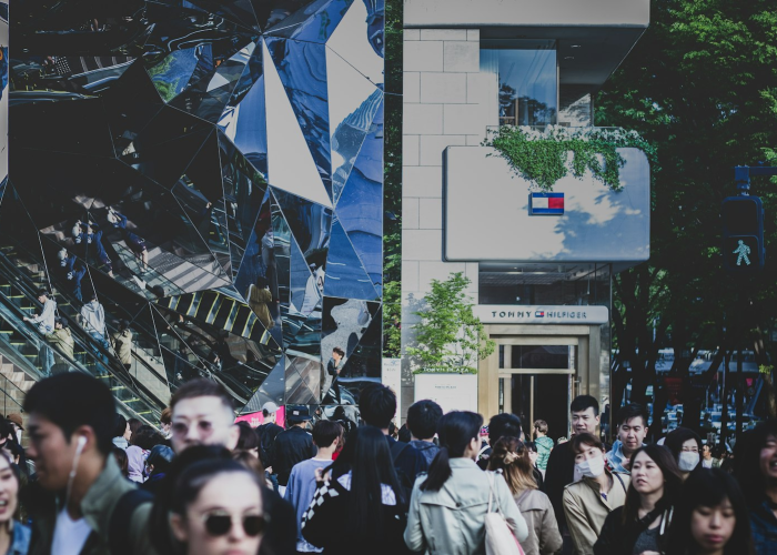 假反弹还是真逃亡？美元霸权最后的十字路口