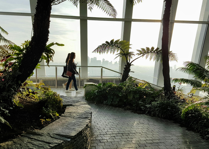 北京昨日新增3例本土确诊,北京昨日新增61例本土确诊