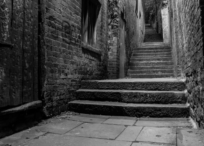 哈尔滨单双号限行2021年最新消息(哈尔滨单双号)