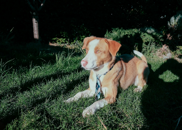 🔹 成都现在疫情最新消息,成都现在的疫情情况 🔹 成都现在疫情最新消息,成都现在的疫情情况