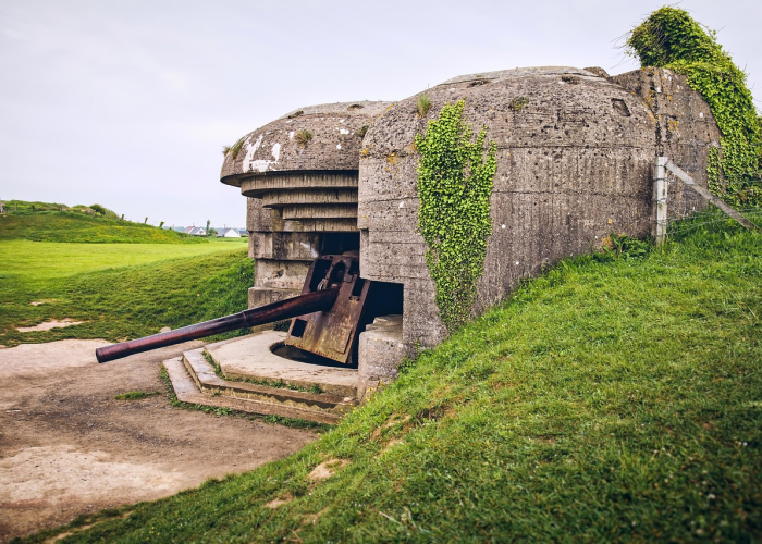 墨西哥电视台阿兹特克宣布启动破产程序 🎌
