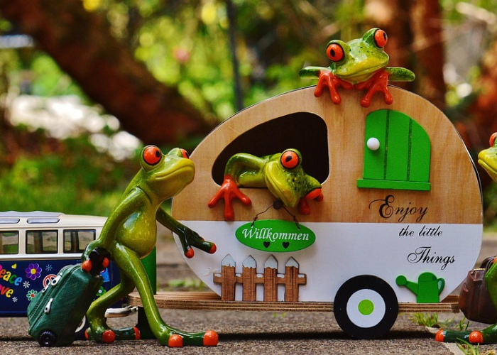 河北沧州疫情最新消息今天 → 河北沧州疫情最新消息今天封城了