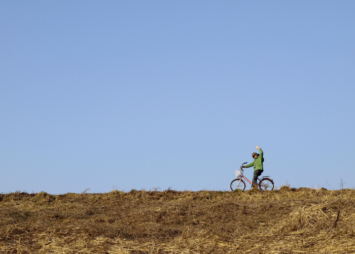 北京疫情风险级别(北京疫情风险等级) 北京疫情风险级别(北京疫情风险等级)