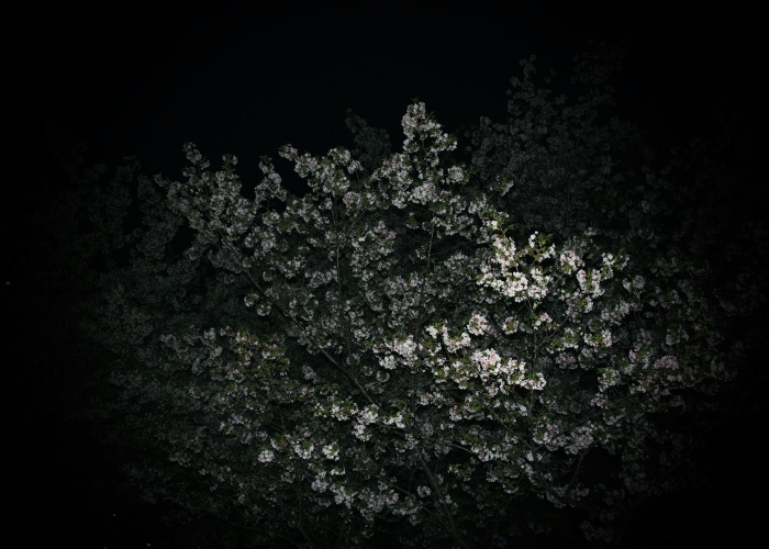 日照最新疫情›日照的最新疫情