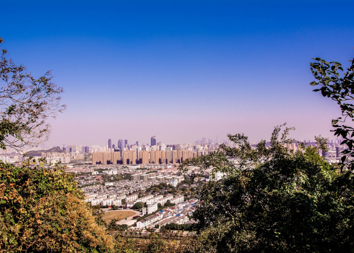 上海做核酸捅鼻子吗(上海一核酸点被砸涉事男子被处罚) 上海做核酸捅鼻子吗(上海一核酸点被砸涉事男子被处罚)