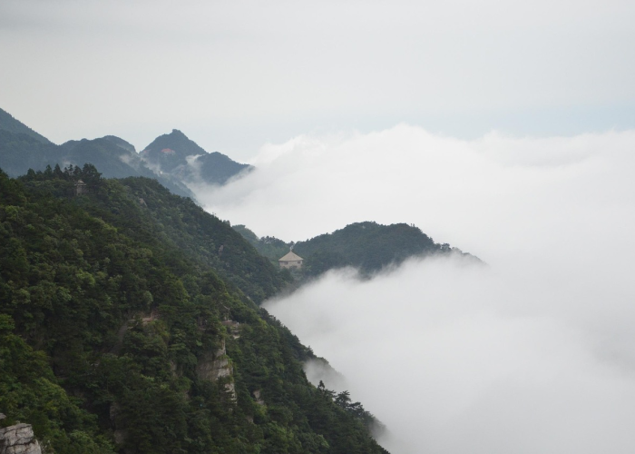 广东出现一例本土(广东多地出现本土感染者)