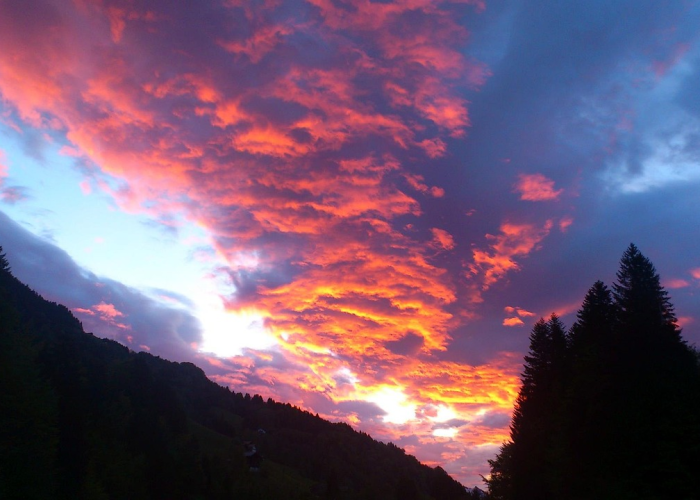 2022年高速免费时间官网（2022年高速免费时间表最新公布日—）