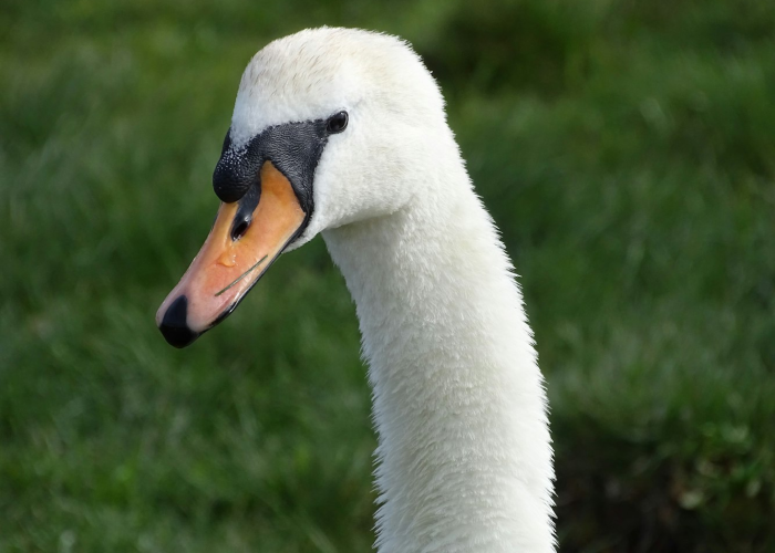 北京小汽车摇号网站首页北京小汽车摇号网站首页官方网站