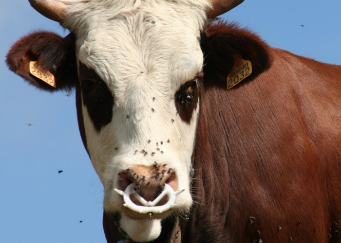 必备科技:在网站银行系统升级不给提款怎么办？专业解决不能提款