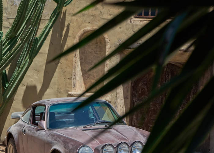 山东新增本地确诊病例1例›山东新增本地确诊病例1例是哪里的