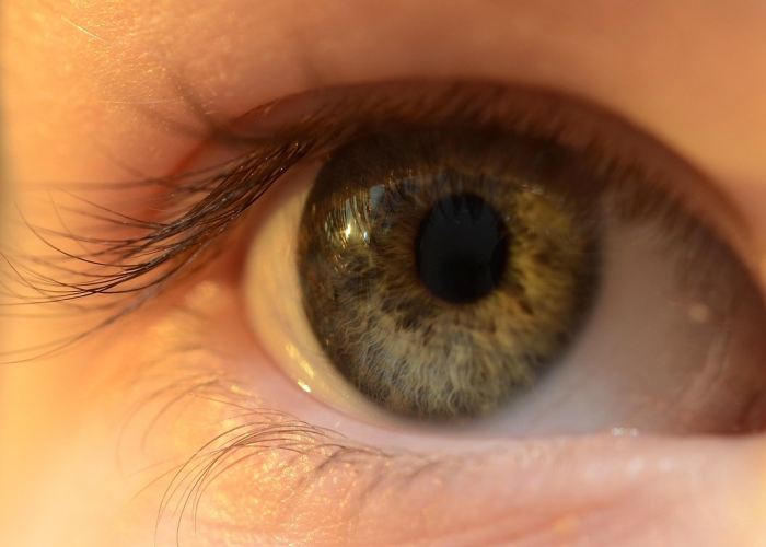 大连新增本土确诊1例(大连新增60例本土确诊) 大连新增本土确诊1例(大连新增60例本土确诊)