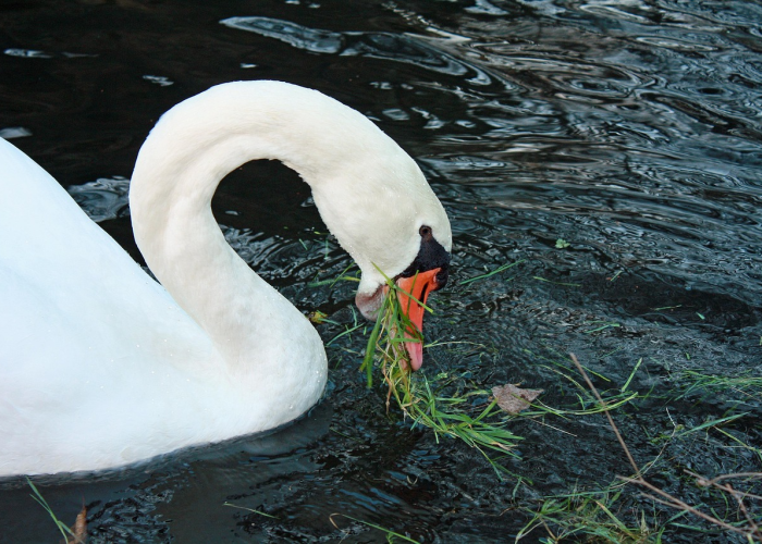 海格通信：目前已经完成了窄带芯片设计定型，启动量产工作