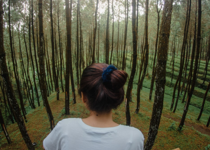 四川成都疫情最新消息:四川成都疫情最新消息今天又封了 四川成都疫情最新消息:四川成都疫情最新消息今天又封了