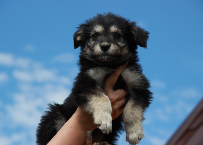 云南增19例阳性,云南19例新型冠状病毒