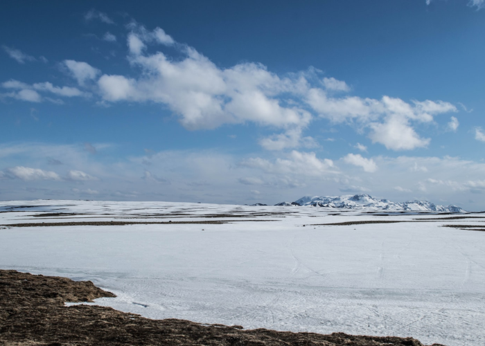 北京感染区域(北京已有8区发现感染者) 北京感染区域(北京已有8区发现感染者)