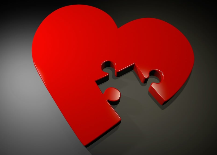 浙江 新增(浙江本土新增) 浙江 新增(浙江本土新增)