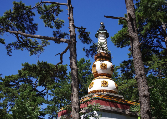 长寿领域专家彼阿蒂亚博士因与爱泼斯坦存在关联，辞去戴维蛋白相关职务