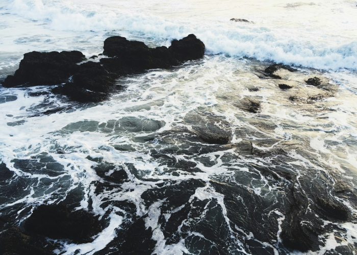 指定教程:在网上平台风控审核提不了怎么办？怎么才能解决