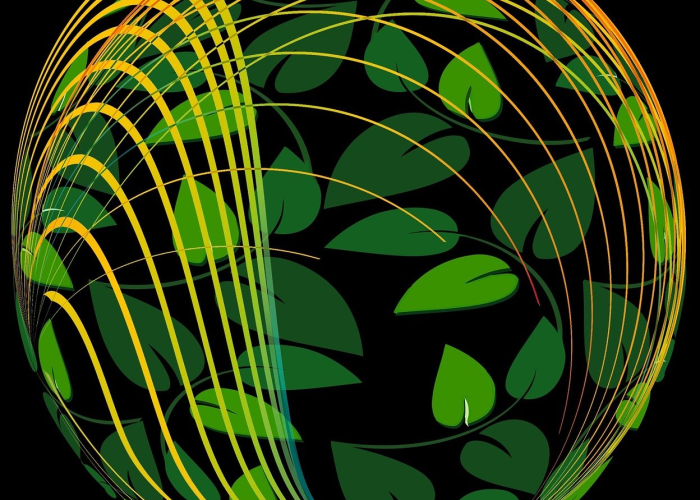 山东新增1例本土确诊病例山东新增1例本土确诊病例是哪里的