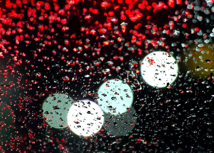 陕西新增本土确诊53例,陕西新增本土病例行动轨迹