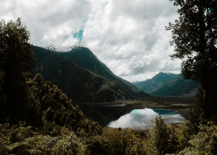安徽新增一例无症状感染者(安徽昨增本土无症状9例)