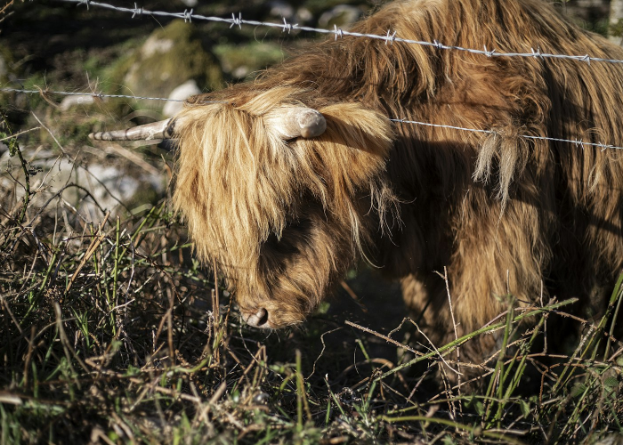31省区市新增确诊21例含本土9例,31省区市新增本土确诊病例30例